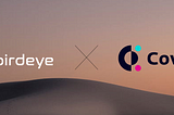 Birdeye.so Receives $25,000 Grant from Covalent: A Leap Towards a User-Friendly Trading Experience