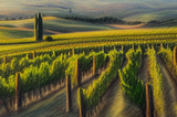 Pastel chalk drawing of a vineyard