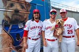 Goldeyes Bark In The Park Game Sponsored By LCTaylor Licensed Insolvency Trustee.