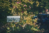 a mailbox labeled 13A is amongst lush greenery with cars out of focus in the background