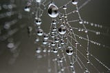 Learning by Inter-Being