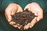 Start composting now