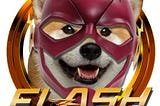 WELCOME TO FLASH DOGE