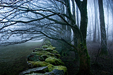 November Forest, Cumbria, England