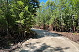 Building a Road on Raw Land for My Off-Grid AirBnb