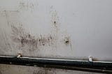 Inside the toxic walls: unravelling the truth behind the hidden crisis of mould and neglect within…