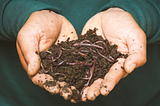 How to stop worms from eating your dead body