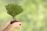 How the Shipping Industry is Reducing Their Carbon Footprint