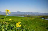 A grassy field with a lake and montains in the background