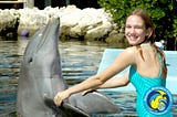 Discover the Ultimate Family Getaway: Top Five Reasons to Choose the Florida Keys for Your Vacation