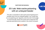 25.1 Lab: Web cache poisoning with an unkeyed header