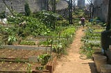 horta orgânica urbana, feita em volta de uma torre de energia elétrica, em um terreno antes sem uso em São Paulo.