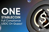 Why USDC is the Best Choice for Your Transactions on Quppy Wallet