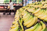 Rows of bananas at a grocery store