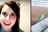 The Woman Behind Overly Attached Girlfriend