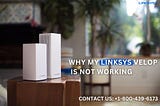 Why my Linksys Velop is not working