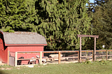 Arbor School of Arts and Sciences