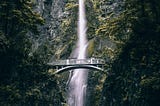 Agile Versus Waterfall: Who Wins?