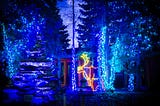 Toledo Zoo Lights 2023, and a few portraits