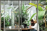 What is Considered as Biophilic Design?