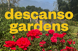 Discovering L.A.’s Secret Oasis: Descanso Gardens