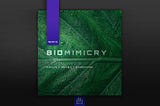 Biomimicry. A Universal Framework For Regenerative Innovation.