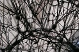 cacophony, but of the mind