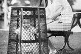 Baby Basket