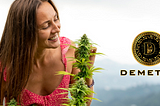 Demeter LLC Presents: Elysium & MetaFlora — A Pioneering Vision for the Future of Cannabis