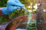 “Climate Resilience through Plant Biotechnology: A Path to Sustainable Agriculture’’