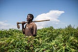 From 8kg food rations to 1,000kg harvests: A refugee’s journey to self-reliance
