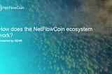 How does the NetFlowCoin ecosystem work?