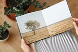 (PDF-)Fotobuch mit Apple Pages erstellen