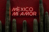 neon sign: Mexico mi Amor.