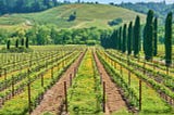 Escape to Wine Country: A Full-Day Tour of Napa and Sonoma from San Francisco