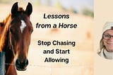 Lessons from a Horse