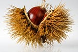 Chestnuts, A Jewel of Autumn