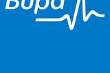 Why I love working at Bupa by Scott Ryder — Application Support Specialist