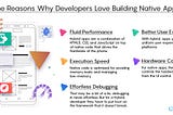 The Reasons Why Developers Love Building Native App Development
