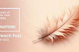 Color of the year 2024