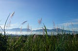 Mount Guntur, My First Mountain Hiking