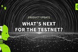 What’s next for the ZKEX testnet?