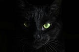 A close-up of the face of a black cat against a dark background
