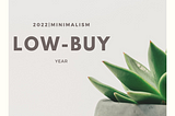 2022|Minimalism: Low-Buy Year