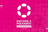 Encode x Polkadot Accelerator 2023— Summary