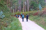 People wearing backpacks and using hiking poles, walking along a wide path, surrounded by grass and trees on the sides and a forest ahead.