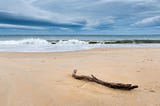 The Surprising Things You Can See at the Beach