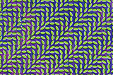 Merriweather Post Pavillion by Animal Collective album cover