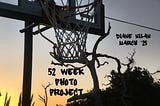A stark, bare branch behind the silhouette of the basketball net