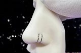 Double Hoop Nose Rings